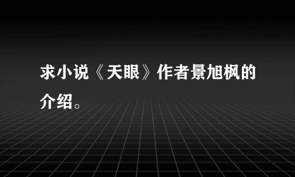 求小说《天眼》作者景旭枫的介绍。