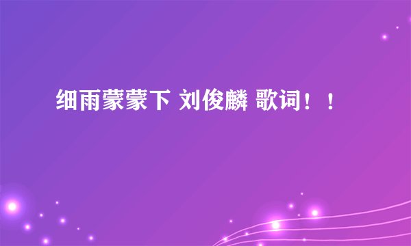 细雨蒙蒙下 刘俊麟 歌词！！