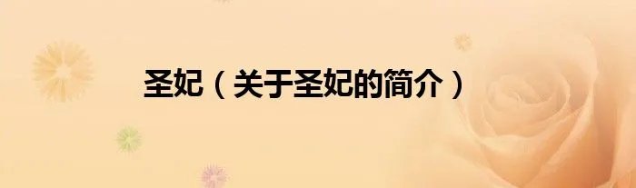 圣妃（关于圣妃的简介）