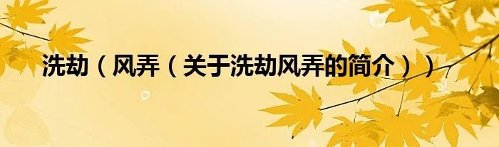 洗劫（风弄（关于洗劫风弄的简介））