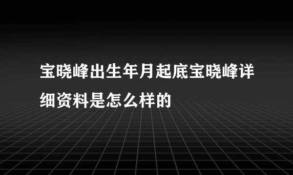 宝晓峰出生年月起底宝晓峰详细资料是怎么样的