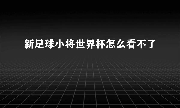 新足球小将世界杯怎么看不了