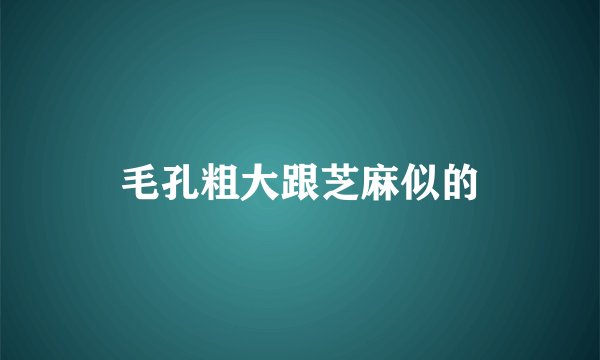 毛孔粗大跟芝麻似的