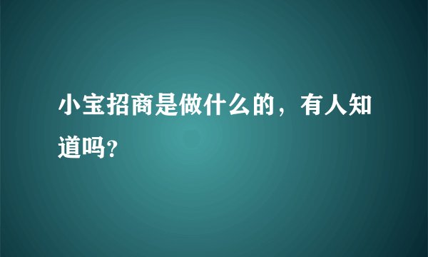 小宝招商是做什么的，有人知道吗？