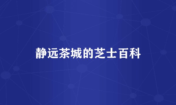 静远茶城的芝士百科