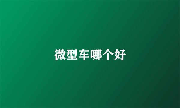 微型车哪个好