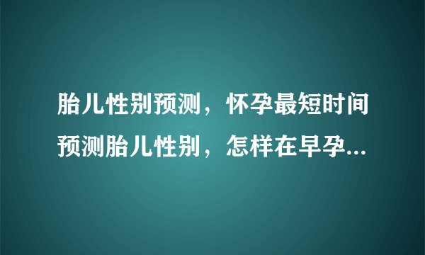胎儿性别预测,怀孕最短时间预测胎儿性别,怎样在早孕期间预测性别