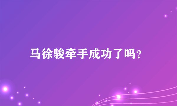 马徐骏牵手成功了吗？