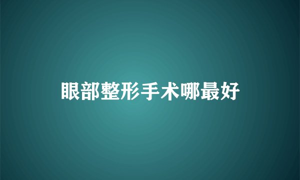 眼部整形手术哪最好