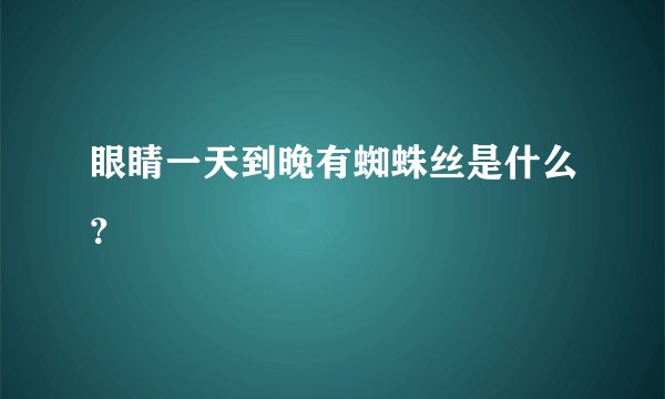 眼睛一天到晚有蜘蛛丝是什么？
