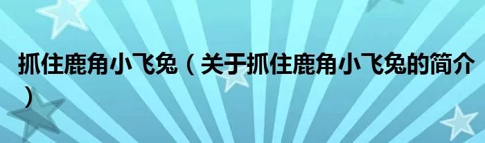 抓住鹿角小飞兔（关于抓住鹿角小飞兔的简介）