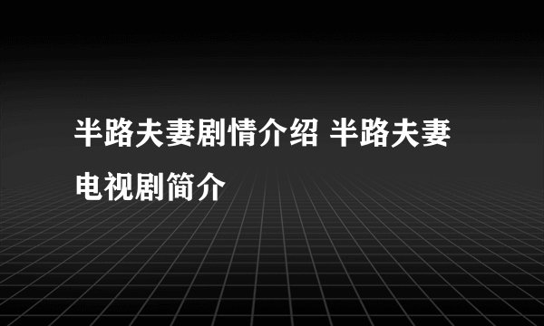 半路夫妻剧情介绍 半路夫妻电视剧简介