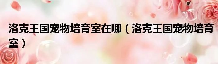洛克王国宠物培育室在哪（洛克王国宠物培育室）