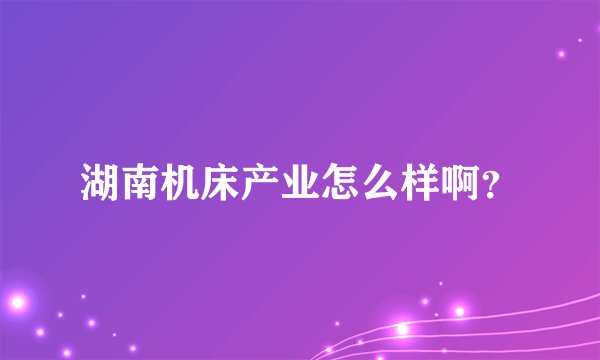 湖南机床产业怎么样啊?