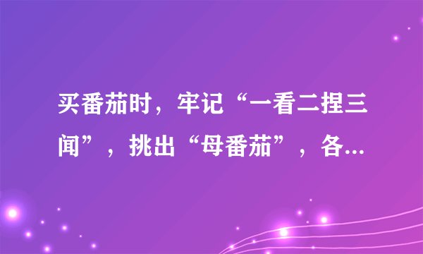 买番茄时，牢记“一看二捏三闻”，挑出“母番茄”，各个饱满多汁