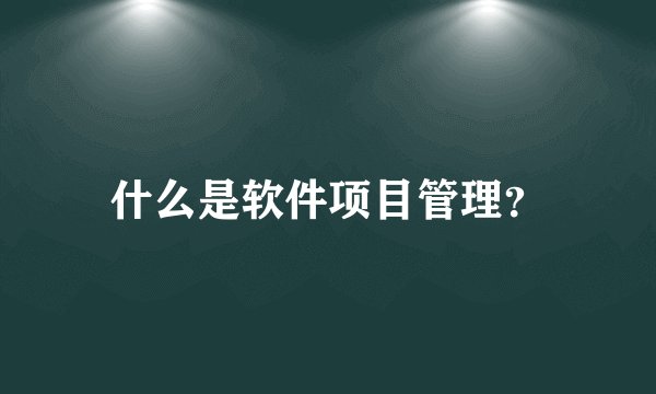 什么是软件项目管理？