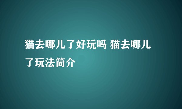 猫去哪儿了好玩吗 猫去哪儿了玩法简介