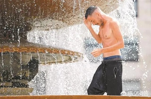 近来北极圈罕见32℃高温,高温成因是什么?北极熊受此影响会走向灭绝吗?
