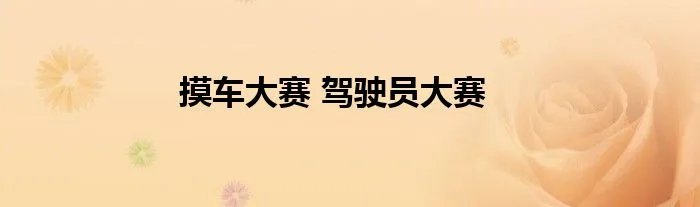 摸车大赛 驾驶员大赛