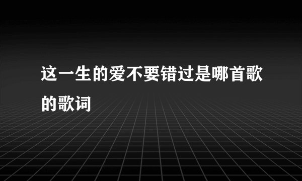 这一生的爱不要错过是哪首歌的歌词