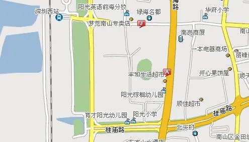 深圳阳光棕榈园详细地址？