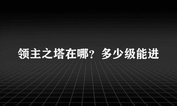 领主之塔在哪?多少级能进