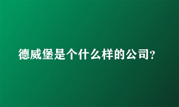 德威堡是个什么样的公司？