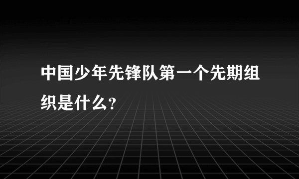 中国少年先锋队第一个先期组织是什么？