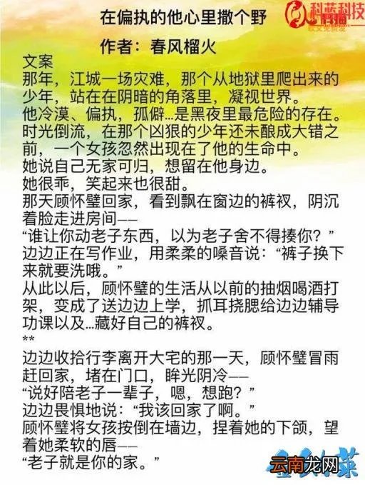 超多肉肉言情文现代 有哪些好看的现代言情小说?
