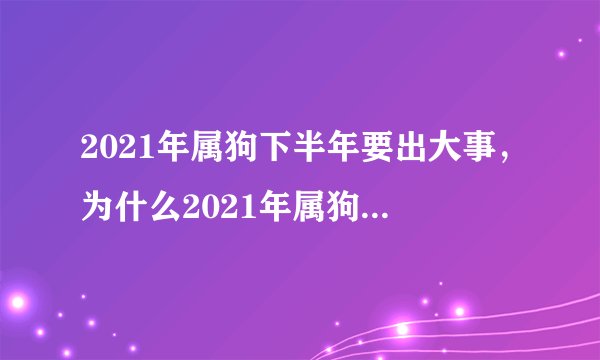 2021年属狗下半年要出大事，为什么2021年属狗的是一个坎？