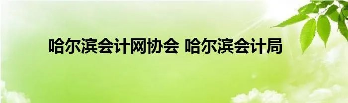 哈尔滨会计网协会 哈尔滨会计局