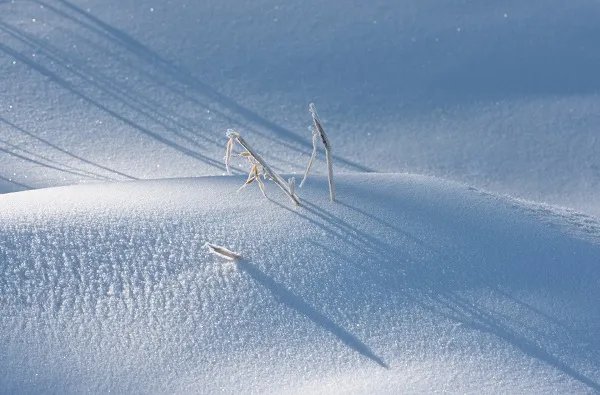 小雪节气哪一天 小雪节气的民俗