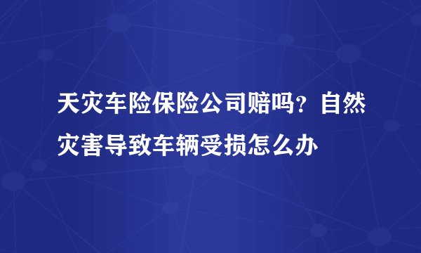 天灾车险保险公司赔吗？自然灾害导致车辆受损怎么办