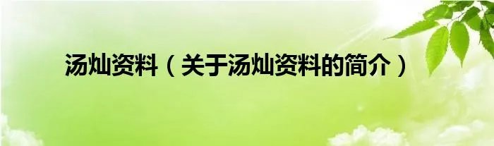 汤灿资料(关于汤灿资料的简介)