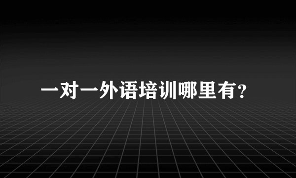 一对一外语培训哪里有？