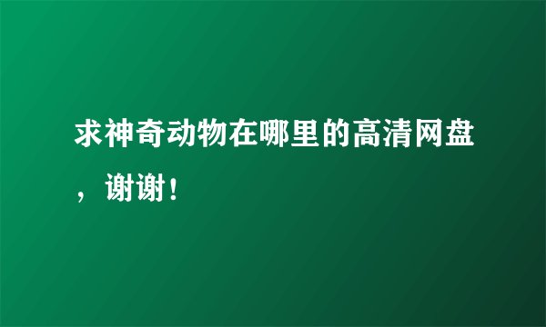 求神奇动物在哪里的高清网盘，谢谢！