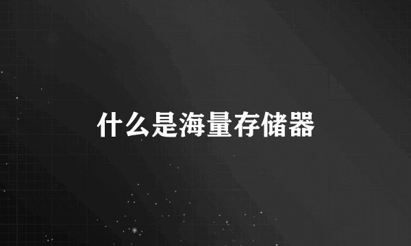什么是海量存储器