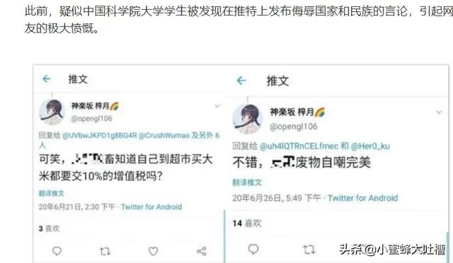 你怎么看待“国科大学生发表辱国言论后道歉”这件事?