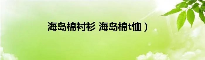 海岛棉衬衫 海岛棉t恤）