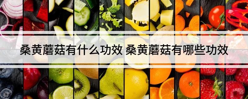 桑黄蘑菇有什么功效 桑黄蘑菇有哪些功效