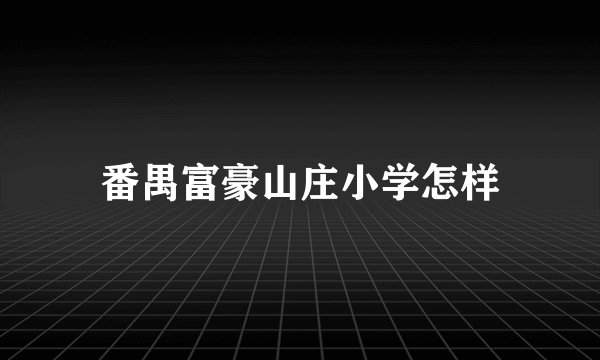 番禺富豪山庄小学怎样