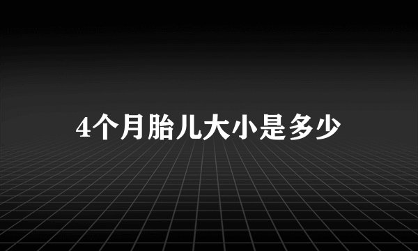 4个月胎儿大小是多少