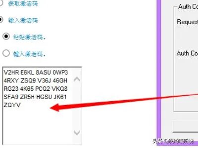 如何安装cad2008?