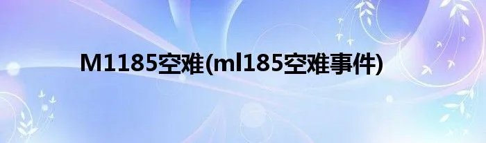 M1185空难(ml185空难事件)