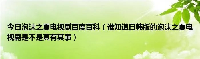今日泡沫之夏电视剧百度百科（谁知道日韩版的泡沫之夏电视剧是不是真有其事）
