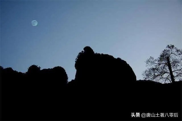 近期打算来一次温州自驾游,去哪里比较合适?
