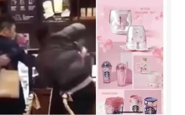 为猫爪杯大打出手什么情况:详情始末猫爪杯怎么火的