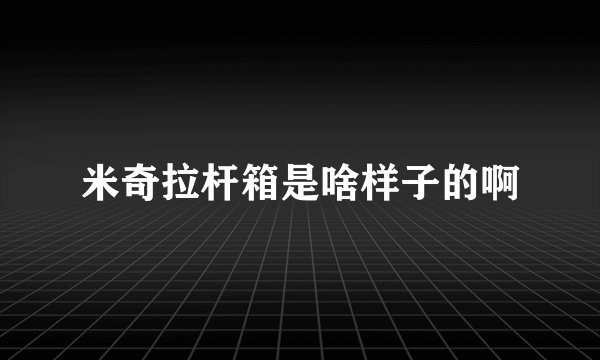 米奇拉杆箱是啥样子的啊