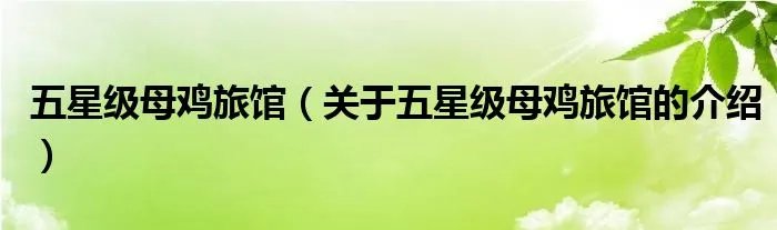 五星级母鸡旅馆（关于五星级母鸡旅馆的介绍）