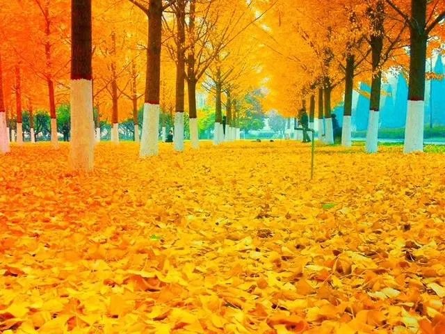 宝鸡一大学生单身21年终脱单,室友拉横幅游校一圈来庆祝,这事你怎么看?